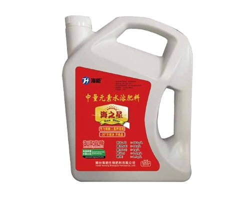 香蕉爱视频免费下载海之星
