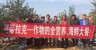 苹果树12月管理技术要点！抓紧时间看