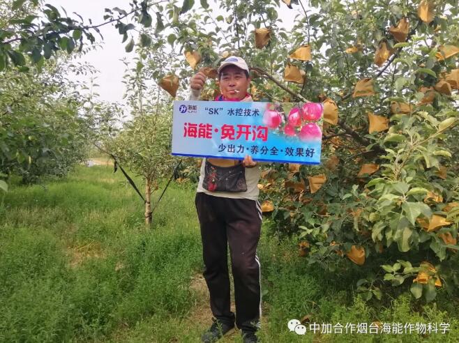 香蕉爱视频免费下载底肥免开沟 用效果说话！
