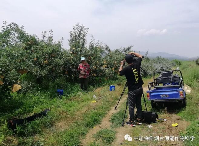 香蕉爱视频免费下载底肥免开沟 用效果说话！