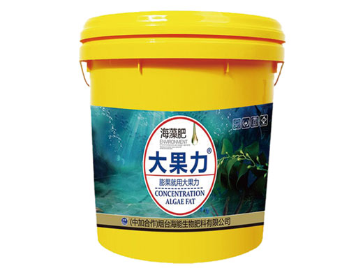 香蕉爱视频免费下载出口品质，专注服务农业 