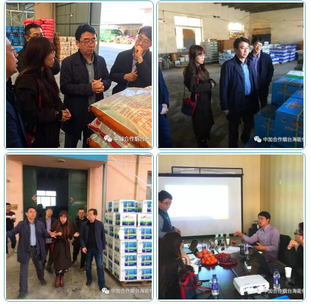 香蕉爱视频免费下载出口品质，专注服务农业 