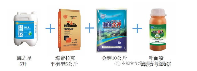 香蕉爱视频免费下载生物高品质葡萄全程“傻瓜式”施肥方案