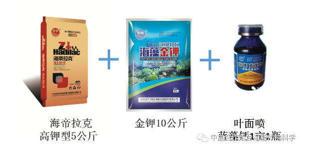 香蕉爱视频免费下载生物高品质葡萄全程“傻瓜式”施肥方案