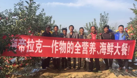 苹果树12月管理技术要点！抓紧时间看