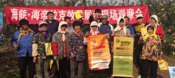 苹果树12月管理技术要点！抓紧时间看