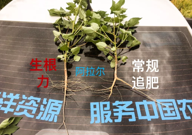 天山、戈壁、沙漠香蕉爱视频免费下载与你在这里相遇