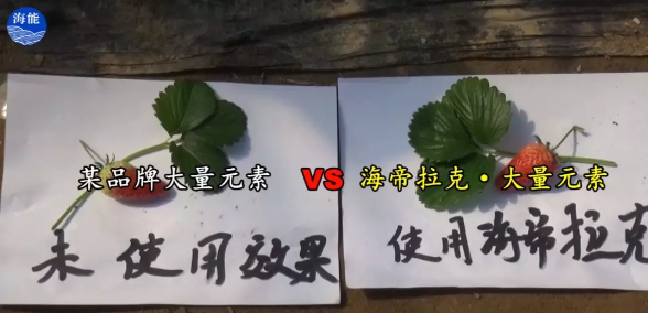 水肥一体化不止是节水、节肥！还有这功效！