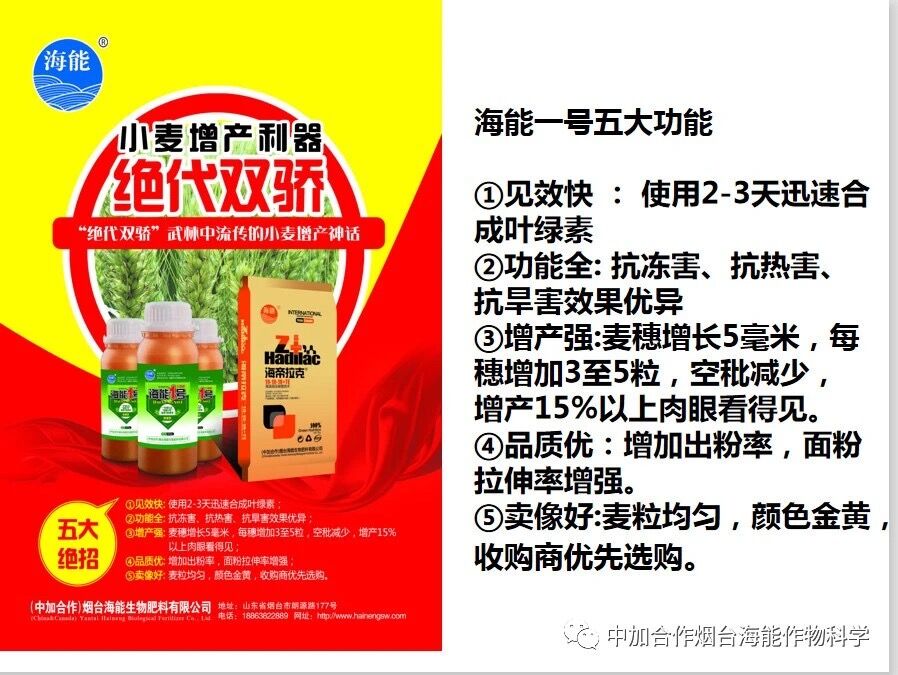 抗寒利器，香蕉爱视频免费下载1号