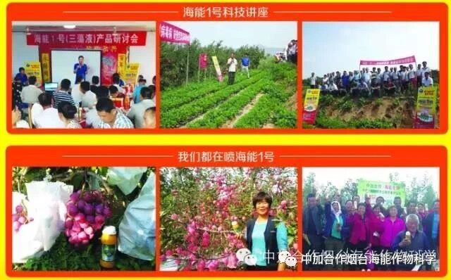 抗寒利器，香蕉爱视频免费下载1号