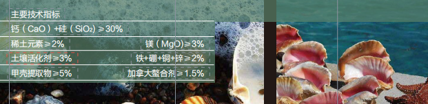 香蕉爱视频免费下载甲壳素活性中微量久久香蕉网官网